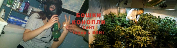 гидра Гусиноозёрск
