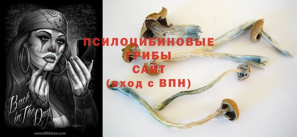 гидра Гусиноозёрск