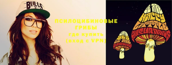 гидра Гусиноозёрск