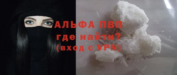 гидра Гусиноозёрск