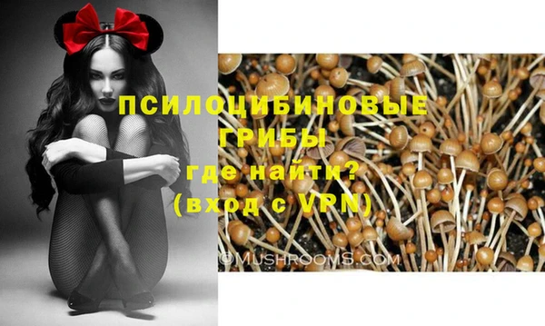прущая мука Гусев