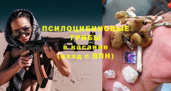 прущая мука Гусев