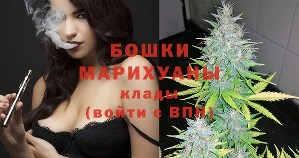 гидра Гусиноозёрск
