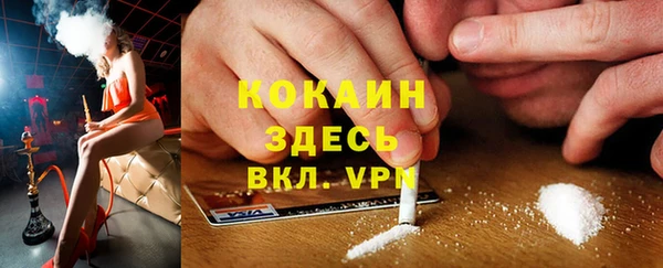 гидра Гусиноозёрск