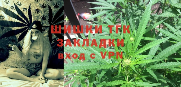 гидра Гусиноозёрск